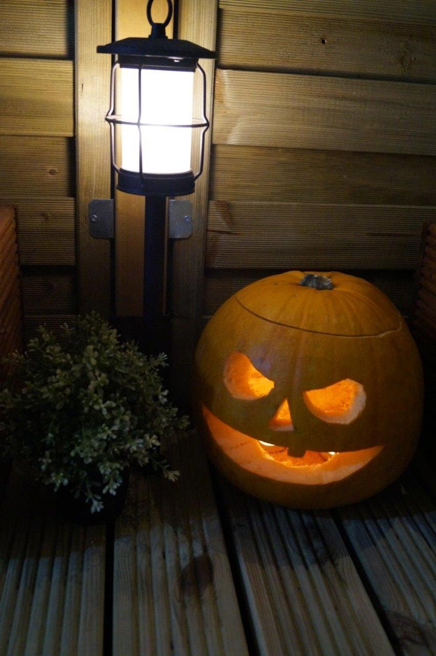 b2ap3 large halloween sensor