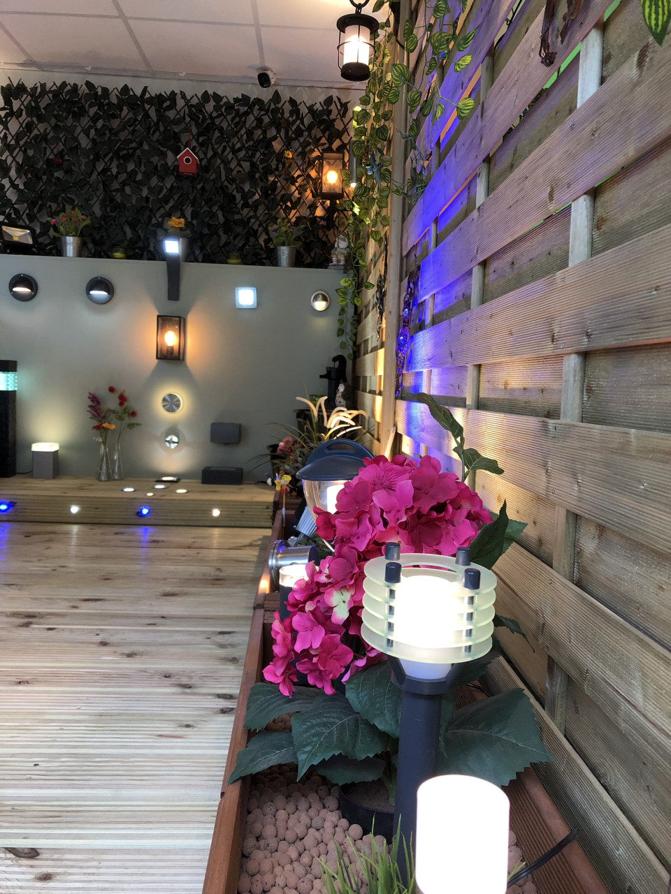 contact 19 garden lighting coloured lights
